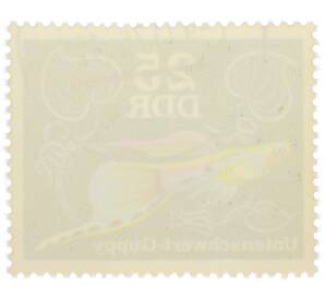 Почтовая марка 25 пфеннигов 1976 года Восточная Германия (ГДР) «Декоративные рыбы - Гуппи (нижний меч)» — Фото №2