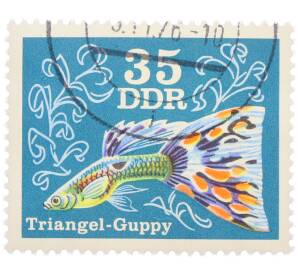 Почтовая марка 35 пфеннигов 1976 года Восточная Германия (ГДР) «Декоративные рыбы - Гуппи (треугольный)» — Фото №1