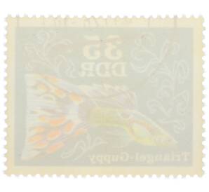 Почтовая марка 35 пфеннигов 1976 года Восточная Германия (ГДР) «Декоративные рыбы - Гуппи (треугольный)» — Фото №2