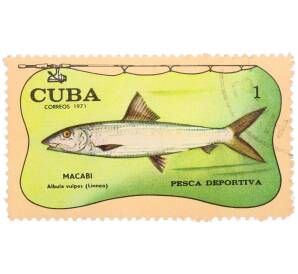 Почтовая марка 1 сентаво 1971 года Куба «Спортивная рыбалка - Макаби (Альбула)» — Фото №1