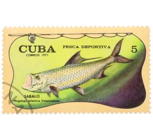 Почтовая марка 5 сентаво 1971 года Куба «Спортивная рыбалка - Атлантический тарпон» — Фото №1