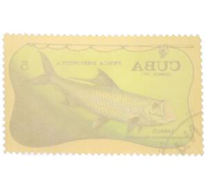 Почтовая марка 5 сентаво 1971 года Куба «Спортивная рыбалка - Атлантический тарпон» — Фото №2