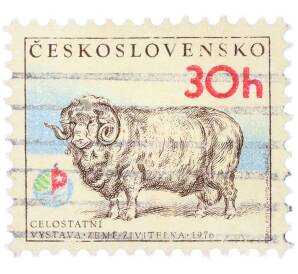 Почтовая марка 30 геллеров 1976 года Чехословакия «Выставка Земля-кормилица - Меринос» — Фото №1