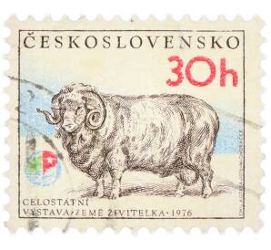 Почтовая марка 30 геллеров 1976 года Чехословакия «Выставка Земля-кормилица - Меринос» — Фото №1