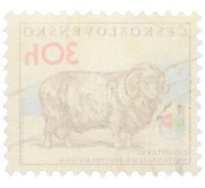 Почтовая марка 30 геллеров 1976 года Чехословакия «Выставка Земля-кормилица - Меринос» — Фото №2