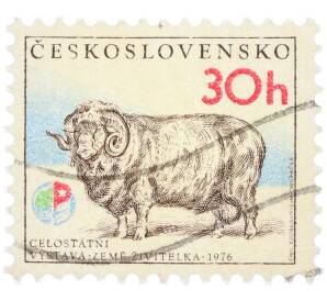 Почтовая марка 30 геллеров 1976 года Чехословакия «Выставка Земля-кормилица - Меринос» — Фото №1
