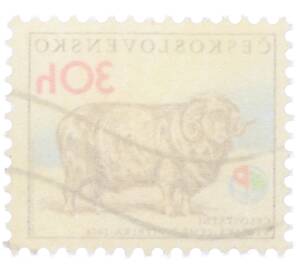 Почтовая марка 30 геллеров 1976 года Чехословакия «Выставка Земля-кормилица - Меринос» — Фото №2