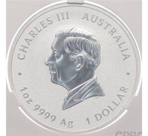 1 доллар 2025 года Австралия «225-летие австралийской прокламации — Колонный доллар» в слабе CPRC (Топ-грейд MS70) — Фото №2