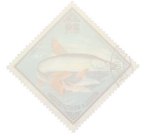 Почтовая марка 20 мунгу 1975 года Монголия «Рыбы — Амурский плоскоголовый жерех» — Фото №2