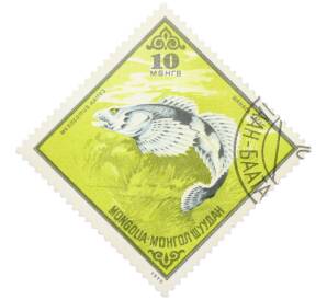 Почтовая марка 10 мунгу 1975 года Монголия «Рыбы - Амурский бычок» — Фото №1