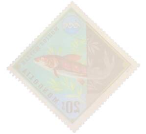 Почтовая марка 20 мунгу 1974 года Монголия «Защита окружающей среды — Монгольский осетр» — Фото №2