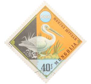 Почтовая марка 40 мунгу 1974 года Монголия «Защита окружающей среды — Розовый пеликан» — Фото №1