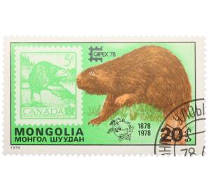 Почтовая марка 20 мунгу 1978 года Монголия «Международная филателистическая выставка CAPEX Toronto 1978 — Бобр на марке Канады» — Фото №1