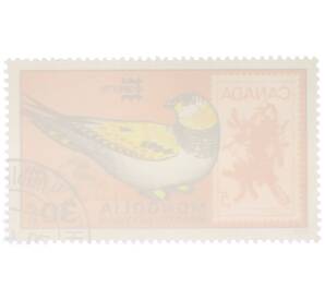 Почтовая марка 30 мунгу 1978 года Монголия «Международная филателистическая выставка CAPEX Toronto 1978 — Белобрюхий рябок на марке Канады» — Фото №2