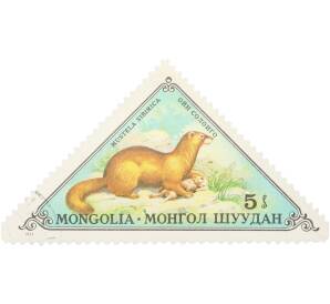 Почтовая марка 5 мунгу 1973 года Монголия «Фауна — Колонок» — Фото №1