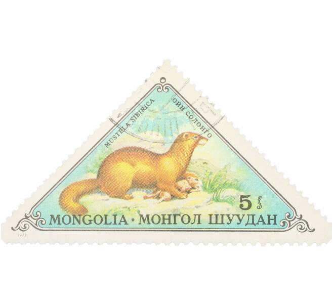 Почтовая марка 5 мунгу 1973 года Монголия «Фауна — Колонок» (Артикул: K12-84114) — Фото №1