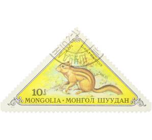 Почтовая марка 10 мунгу 1973 года Монголия «Фауна — Бурундук» — Фото №1