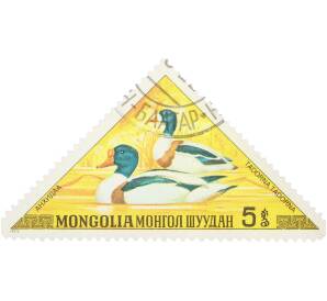 Почтовая марка 5 мунгу 1973 года Монголия «Утки — Пеганка» — Фото №1