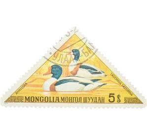 Почтовая марка 5 мунгу 1973 года Монголия «Утки — Пеганка» — Фото №1