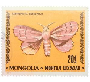 Почтовая марка 20 мунгу 1977 года Монголия «Бабочки — Коконопряд дуболистный» — Фото №1