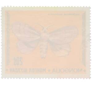 Почтовая марка 20 мунгу 1977 года Монголия «Бабочки — Коконопряд дуболистный» — Фото №2