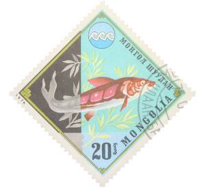Почтовая марка 20 мунгу 1974 года Монголия «Защита окружающей среды — Осетр» — Фото №1