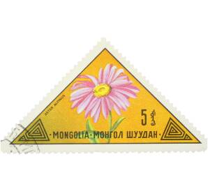 Почтовая марка 5 мунгу 1973 года Монголия «Цветы — Альпийская астра» — Фото №1