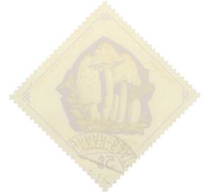 Почтовая марка 5 мунгу 1964 года Монголия «Грибы — Навозник» — Фото №2