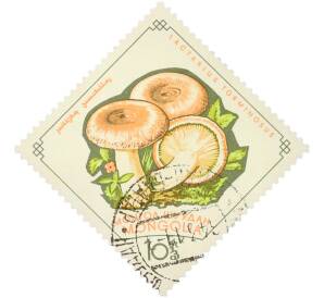 Почтовая марка 5 мунгу 1964 года Монголия «Грибы — Волнушки» — Фото №1