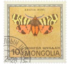 Почтовая марка 10 мунгу 1974 года Монголия «Бабочки — Медведица геба» — Фото №1