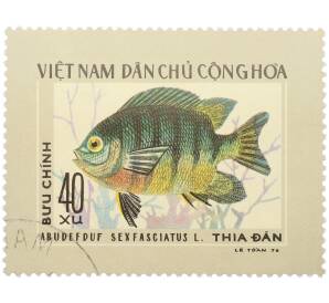 Почтовая марка 40 су 1976 года Вьетнам «Рыбы — Сержант-ножница» — Фото №1