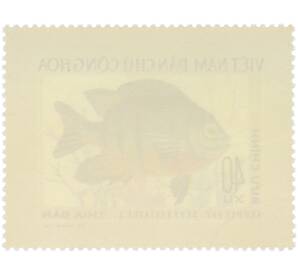 Почтовая марка 40 су 1976 года Вьетнам «Рыбы — Сержант-ножница» — Фото №2