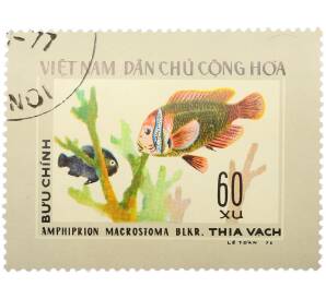 Почтовая марка 60 су 1976 года Вьетнам «Рыбы — Томатный клоун» — Фото №1