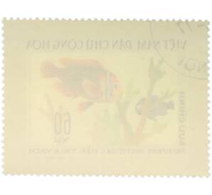 Почтовая марка 60 су 1976 года Вьетнам «Рыбы — Томатный клоун» — Фото №2