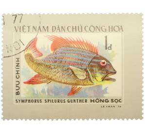 Почтовая марка 1 донг 1976 года Вьетнам «Рыбы — Парусный окунь» — Фото №1