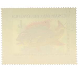 Почтовая марка 1 донг 1976 года Вьетнам «Рыбы — Парусный окунь» — Фото №2