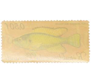 Почтовая марка 0,5 франков 1967 года Бурунди «Рыбы — Хаплохромис мультиколор» — Фото №2