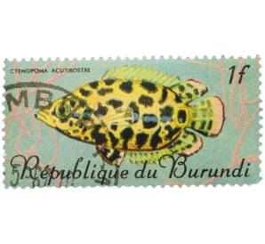 Почтовая марка 1 франк 1967 года Бурунди «Рыбы — Ктенопома леопардовая» — Фото №1