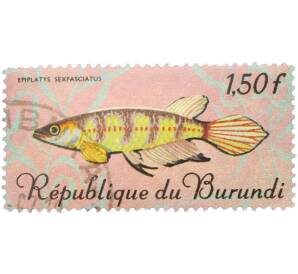 Почтовая марка 1,5 франка 1967 года Бурунди «Рыбы — Эпиплатис шестиполосый» — Фото №1