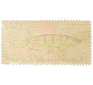 Почтовая марка 1,5 франка 1967 года Бурунди «Рыбы — Эпиплатис шестиполосый» — Фото №2