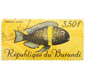 Почтовая марка 3,5 франка 1967 года Бурунди «Рыбы — Трофеус звездчатый» — Фото №1