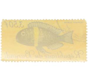 Почтовая марка 3,5 франка 1967 года Бурунди «Рыбы — Трофеус звездчатый» — Фото №2