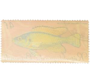Почтовая марка 4 франка 1967 года Бурунди «Рыбы — Хаплохромис мультиколор» — Фото №2