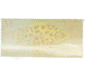 Почтовая марка 5 франков 1967 года Бурунди «Рыбы — Ктенопома леопардовая» — Фото №2