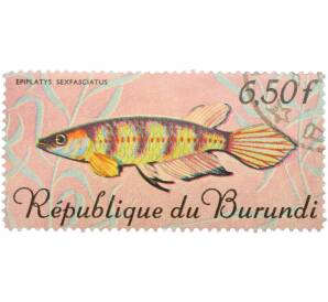 Почтовая марка 6,5 франков 1967 года Бурунди «Рыбы — Эпиплатис шестиполосый» — Фото №1