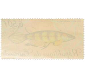 Почтовая марка 6,5 франков 1967 года Бурунди «Рыбы — Эпиплатис шестиполосый» — Фото №2