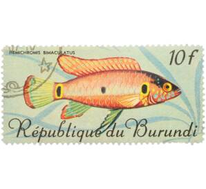 Почтовая марка 10 франков 1967 года Бурунди «Рыбы — Хемихромис-красавец» — Фото №1