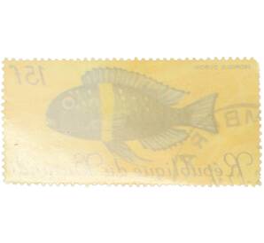 Почтовая марка 15 франков 1967 года Бурунди «Рыбы — Трофеус звёздчатый» — Фото №2