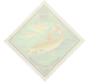 Почтовая марка 30 мунгу 1975 года Монголия «Рыбы — Алтайский осман» — Фото №2