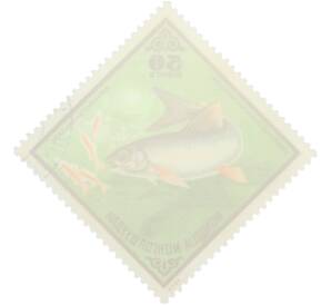 Почтовая марка 50 мунгу 1975 года Монголия «Рыбы — Сиг» — Фото №2